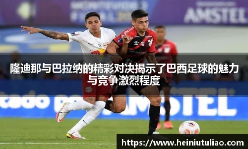 欧博abg官网登录入口