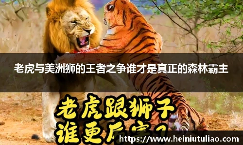 老虎与美洲狮的王者之争谁才是真正的森林霸主